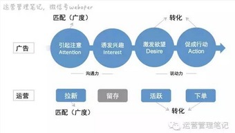 网站运营总监 业务与用户，并非二选一的博弈，而是相辅相成的共生之道